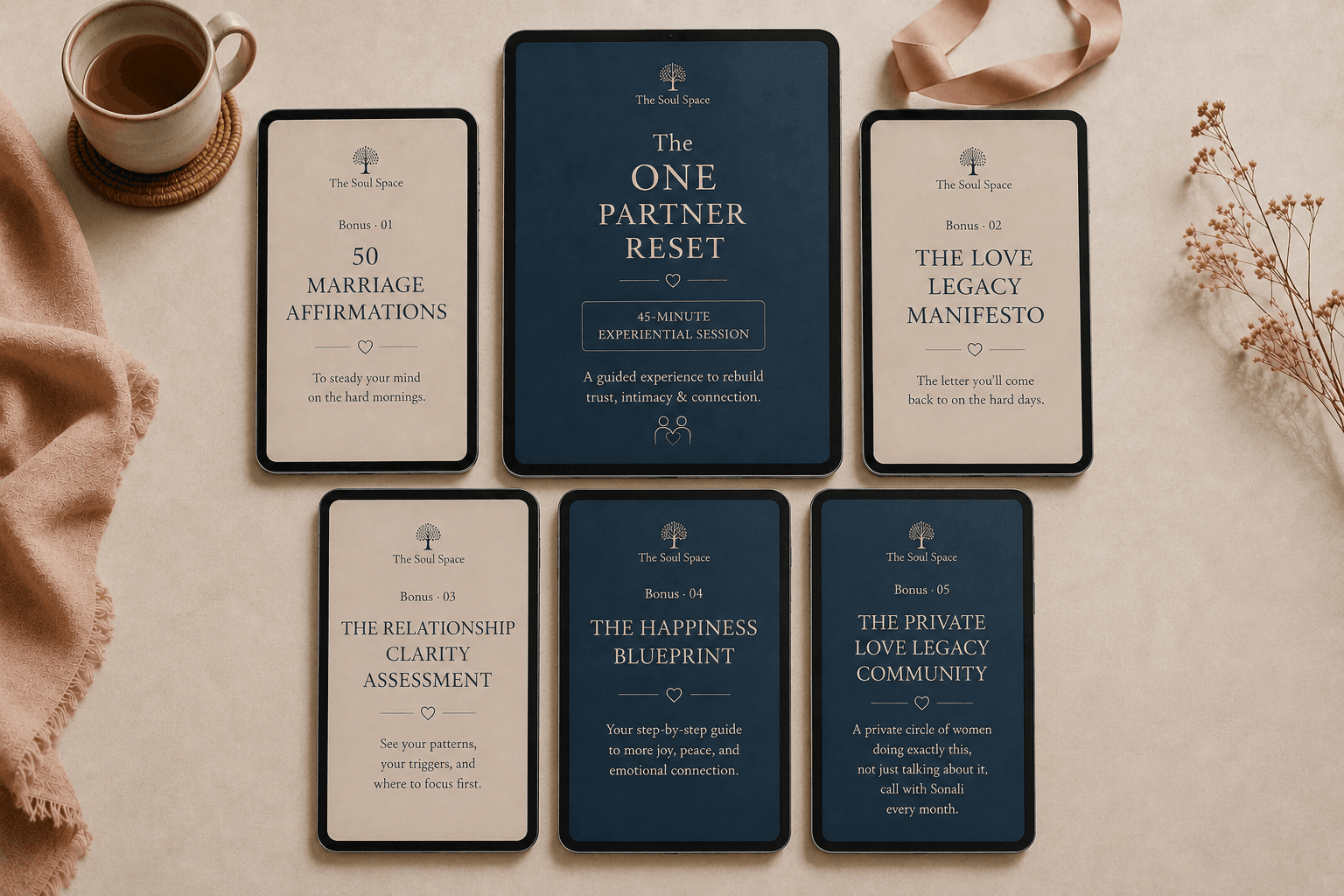 The One Partner Reset book suite laid out in full
